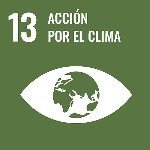 ODS N°13 Acción por el clima