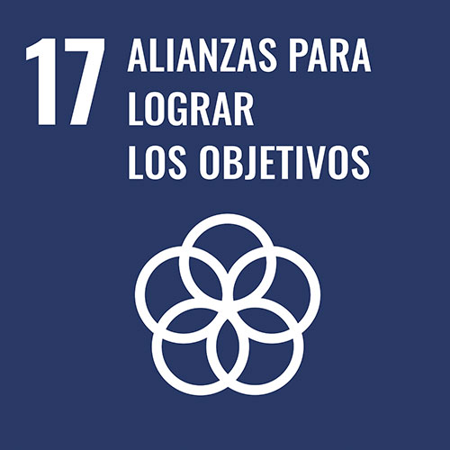 ODS N°17 Alianzas para lograr los objetivos