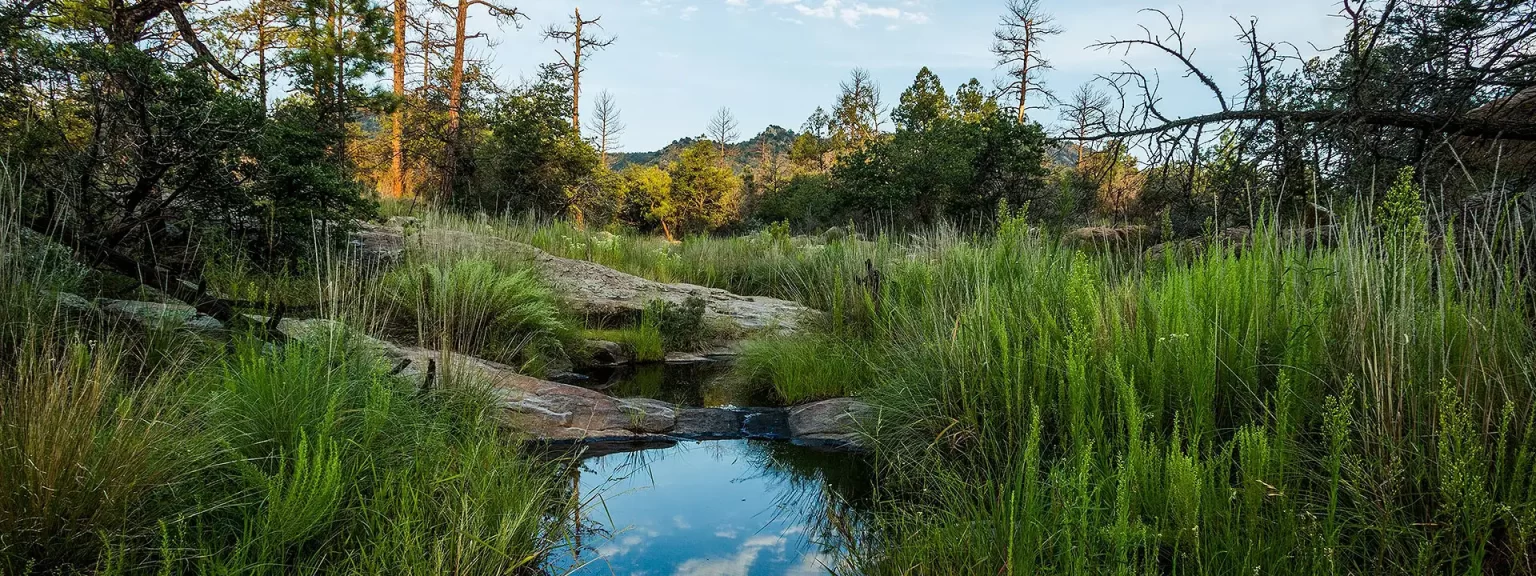 regeneración ambiental balance de agua