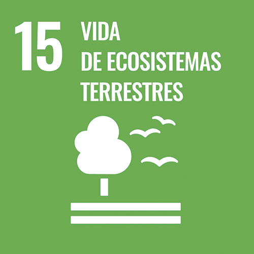 ODS N°15 Vida de ecosistemas terrestres